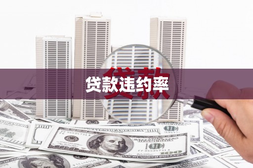 沧县贷款违约率
