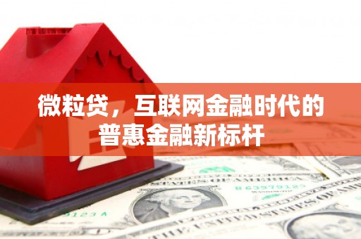 沧县微粒贷，互联网金融时代的普惠金融新标杆