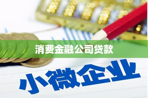沧县消费金融公司贷款