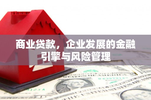 沧县商业贷款，企业发展的金融引擎与风险管理