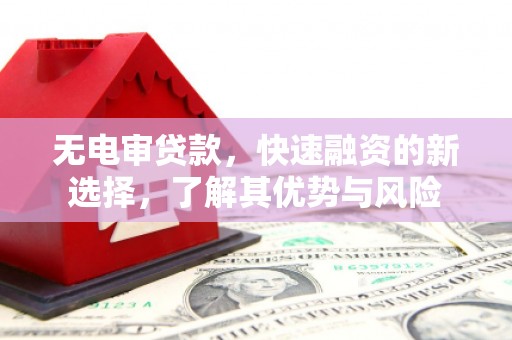 沧县无电审贷款，快速融资的新选择，了解其优势与风险