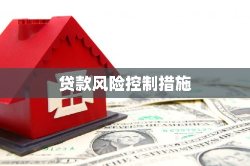沧县贷款风险控制措施