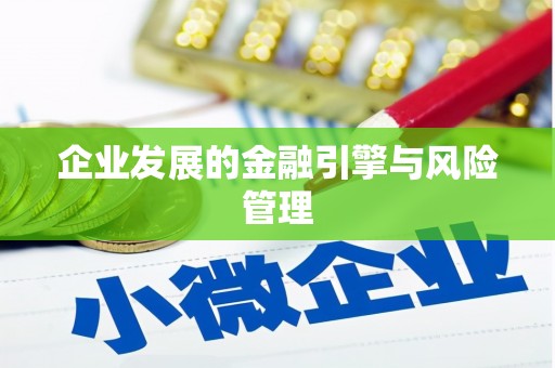 沧县企业发展的金融引擎与风险管理