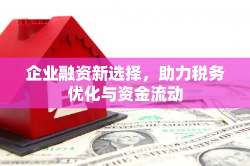 沧县企业融资新选择，助力税务优化与资金流动