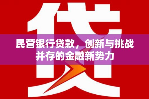 沧县民营银行贷款，创新与挑战并存的金融新势力
