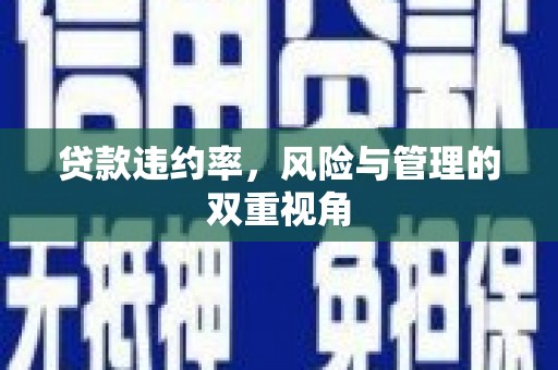 沧县贷款违约率，风险与管理的双重视角