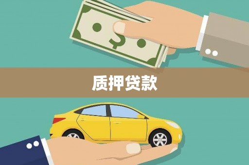 沧县质押贷款