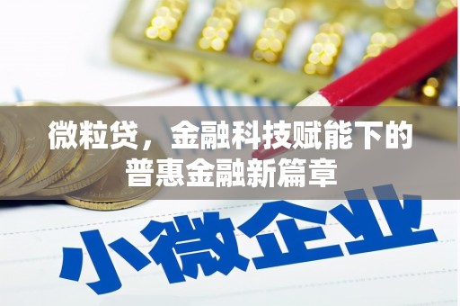 沧县微粒贷，金融科技赋能下的普惠金融新篇章