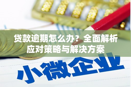 沧县贷款逾期怎么办？全面解析应对策略与解决方案