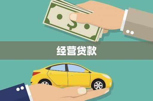 沧县经营贷款
