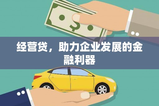沧县经营贷，助力企业发展的金融利器