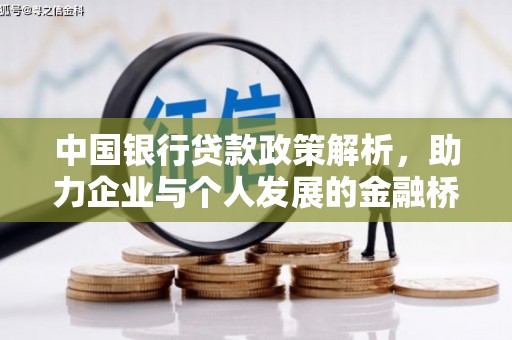 沧县中国银行贷款政策解析，助力企业与个人发展的金融桥梁