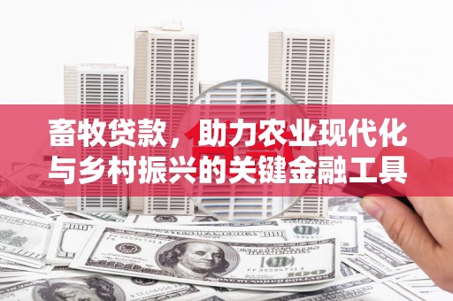 沧县畜牧贷款，助力农业现代化与乡村振兴的关键金融工具