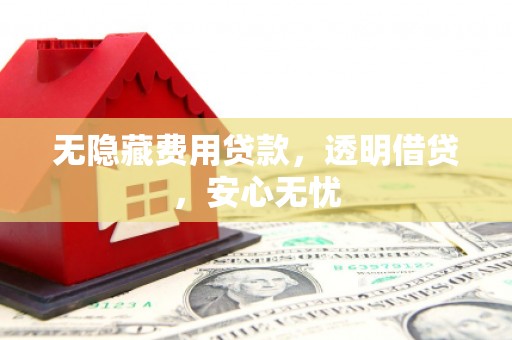 沧县无隐藏费用贷款，透明借贷，安心无忧