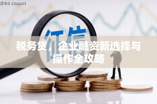 沧县税务贷，企业融资新选择与操作全攻略