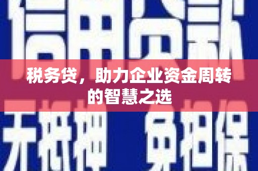 沧县税务贷，助力企业资金周转的智慧之选