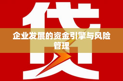 沧县企业发展的资金引擎与风险管理