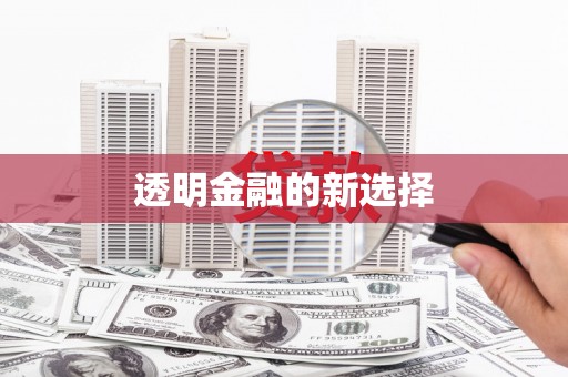 沧县透明金融的新选择