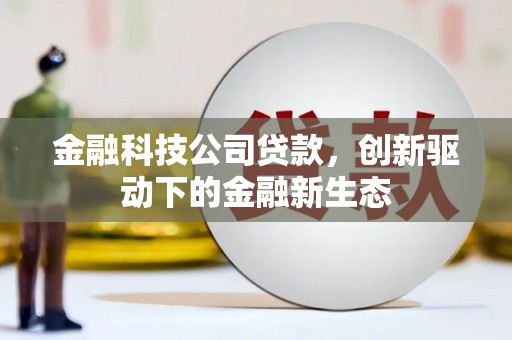 沧县金融科技公司贷款，创新驱动下的金融新生态