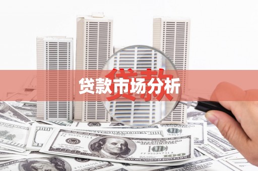 沧县贷款市场分析