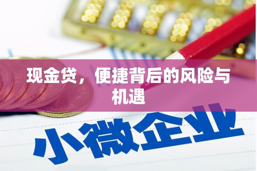 沧县现金贷，便捷背后的风险与机遇