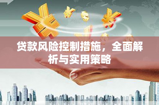 沧县贷款风险控制措施，全面解析与实用策略