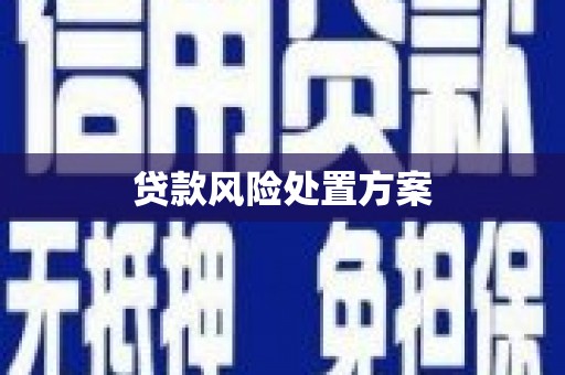 沧县贷款风险处置方案