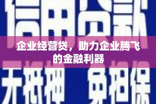 沧县企业经营贷，助力企业腾飞的金融利器