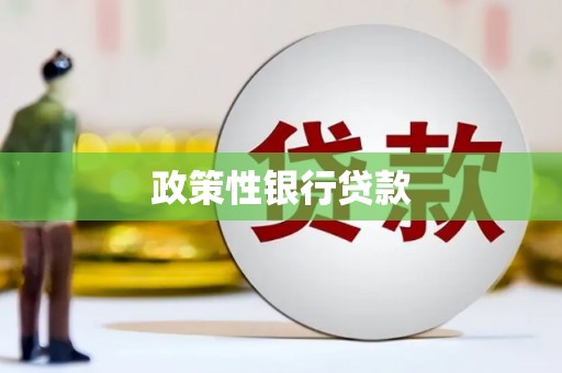 沧县政策性银行贷款