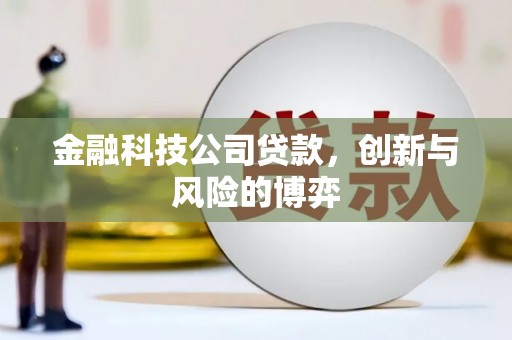 沧县金融科技公司贷款，创新与风险的博弈