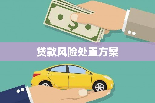 沧县贷款风险处置方案