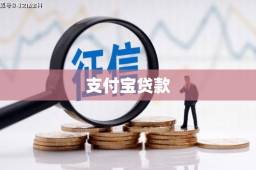 沧县支付宝贷款