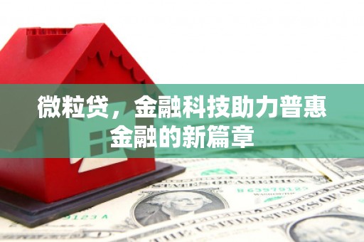 沧县微粒贷，金融科技助力普惠金融的新篇章