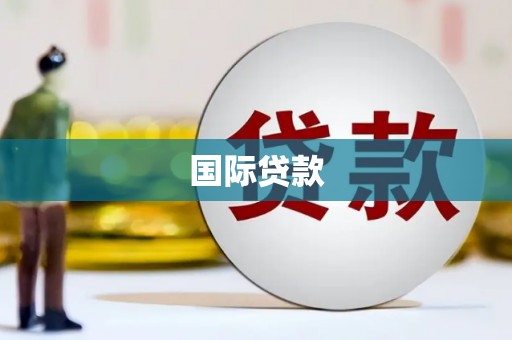 沧县国际贷款