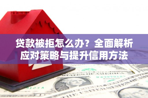 沧县贷款被拒怎么办？全面解析应对策略与提升信用方法