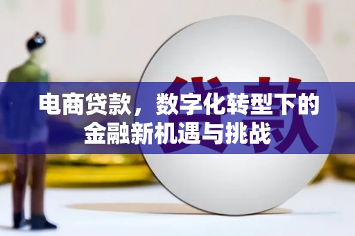 沧县电商贷款，数字化转型下的金融新机遇与挑战