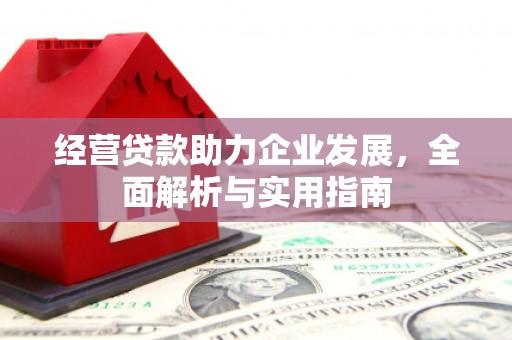 沧县经营贷款助力企业发展，全面解析与实用指南
