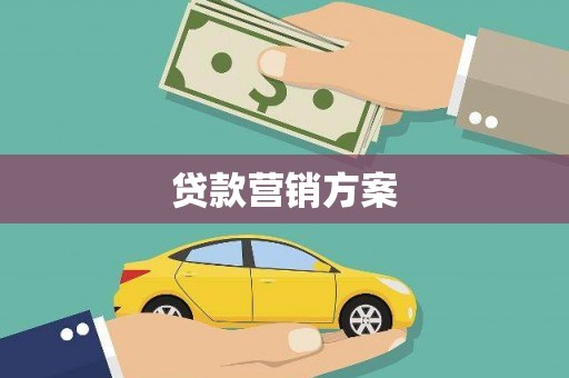 沧县贷款营销方案