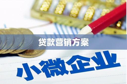 沧县贷款营销方案