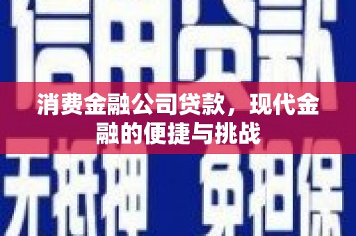 沧县消费金融公司贷款，现代金融的便捷与挑战