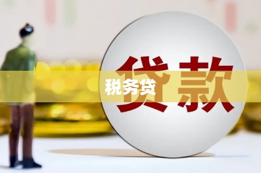 沧县税务贷