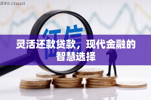 沧县灵活还款贷款，现代金融的智慧选择