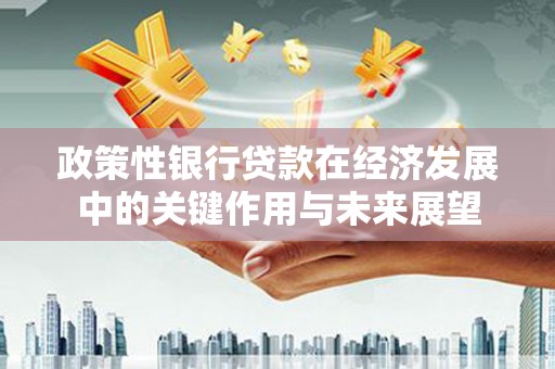 沧县政策性银行贷款在经济发展中的关键作用与未来展望