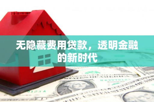 沧县无隐藏费用贷款，透明金融的新时代