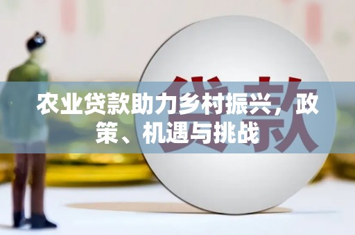 沧县农业贷款助力乡村振兴，政策、机遇与挑战