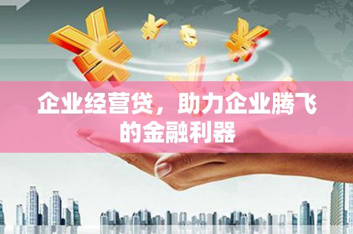 沧县企业经营贷，助力企业腾飞的金融利器
