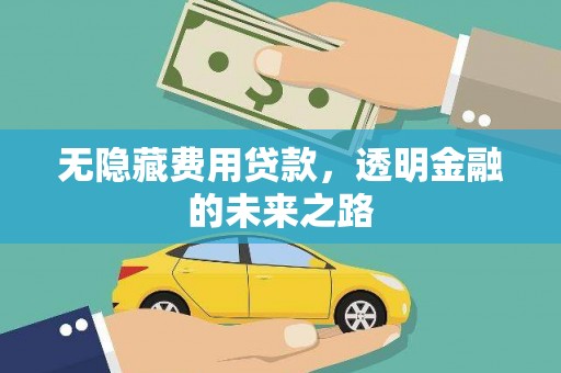 沧县无隐藏费用贷款，透明金融的未来之路
