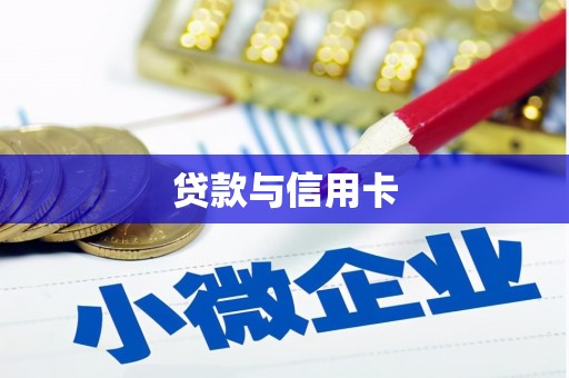 沧县贷款与信用卡