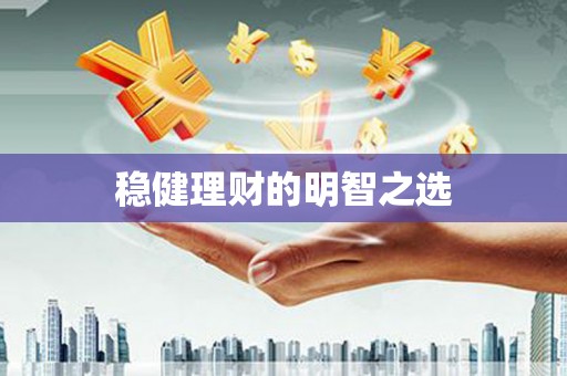 沧县稳健理财的明智之选
