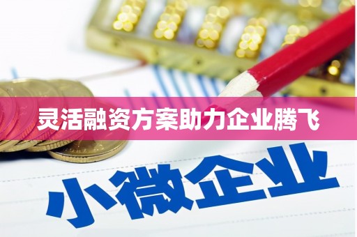 沧县灵活融资方案助力企业腾飞